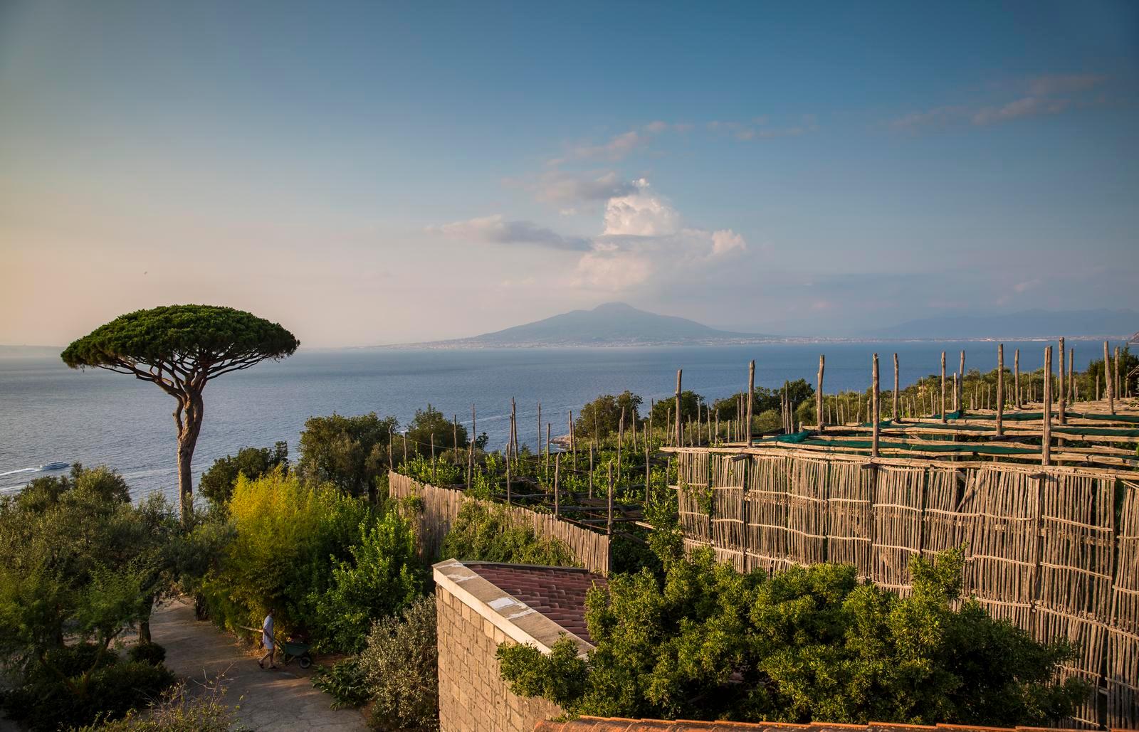 Local Living - Sorrento